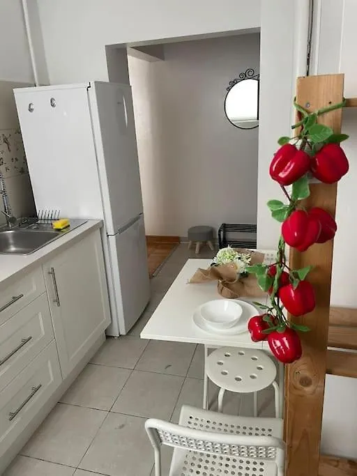아파트 2 Bdrm Apt At Parliament Palace 부쿠레슈티